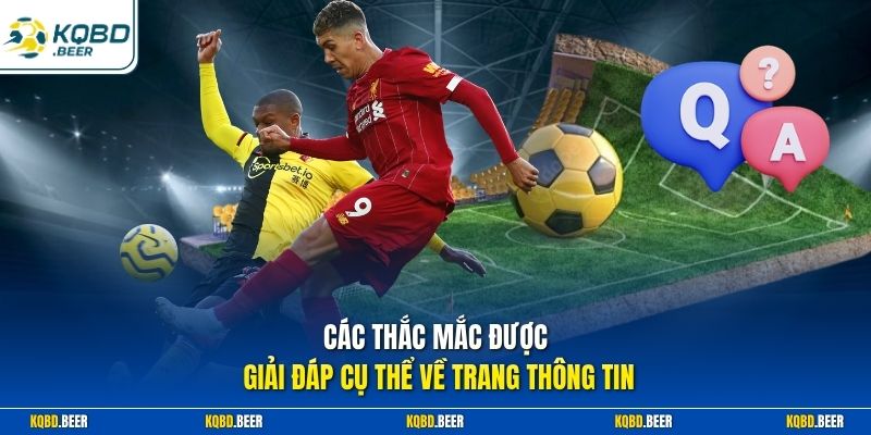 Các thắc mắc được giải đáp cụ thể về trang thông tin