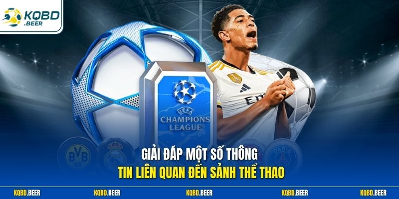 Giải đáp một số thông tin liên quan đến sảnh thể thao