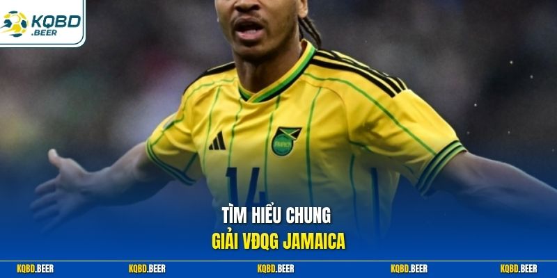 Tìm hiểu chung giải VĐQG Jamaica